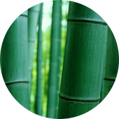 Nantong Tianhong Tecgents Technology Co., Ltd.