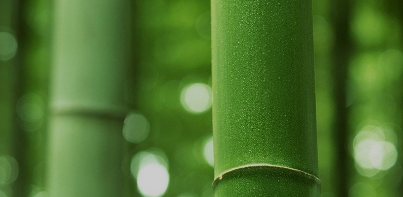 Nantong Tianhong Tecgents Technology Co., Ltd.